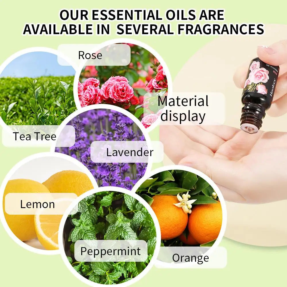 Aromatherapy Essential Oil 10ml Lemon Eucalyptus Lavender Eucalyptus Jasmine Rose Mint Orange Aroma Essential Oil