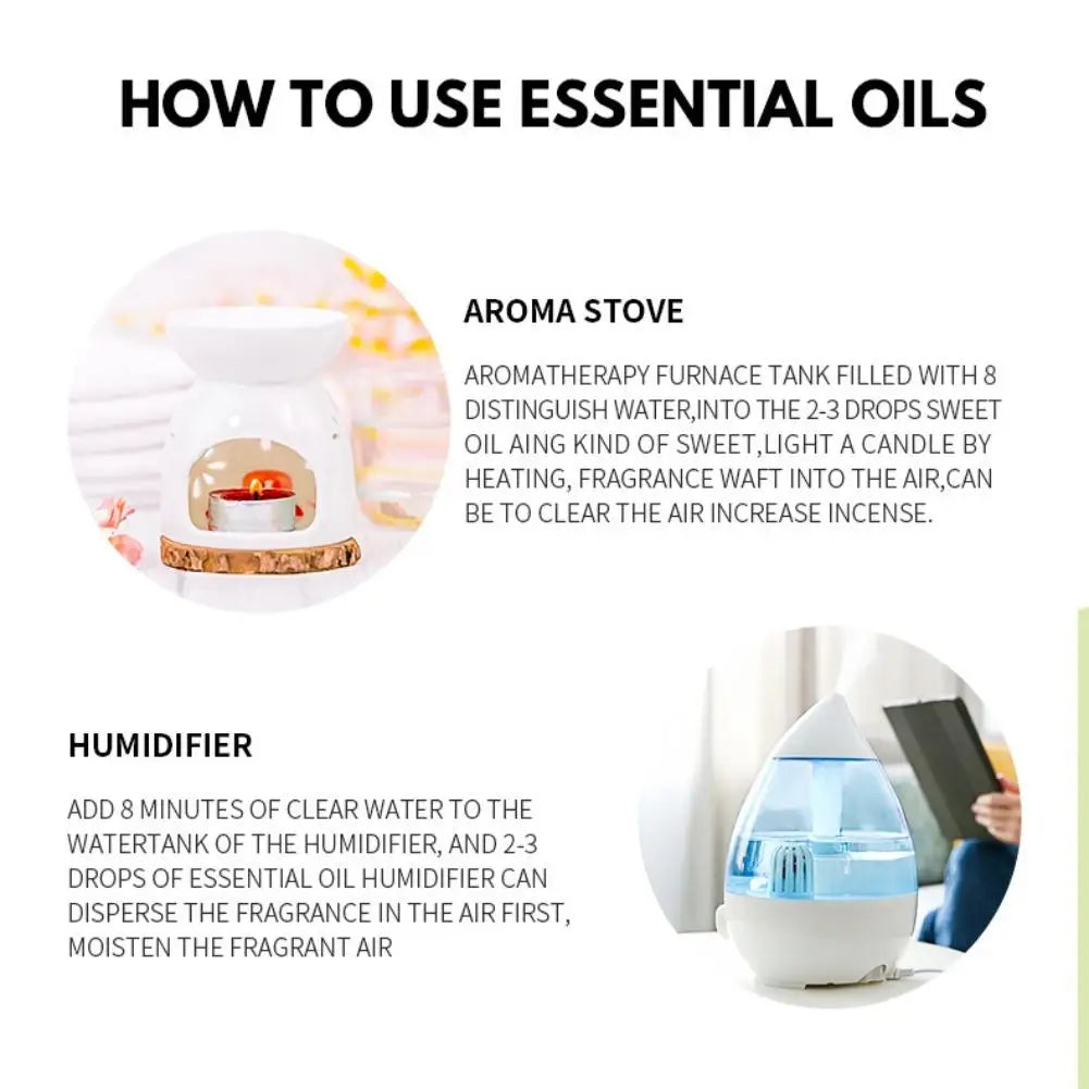 Aromatherapy Essential Oil 10ml Lemon Eucalyptus Lavender Eucalyptus Jasmine Rose Mint Orange Aroma Essential Oil