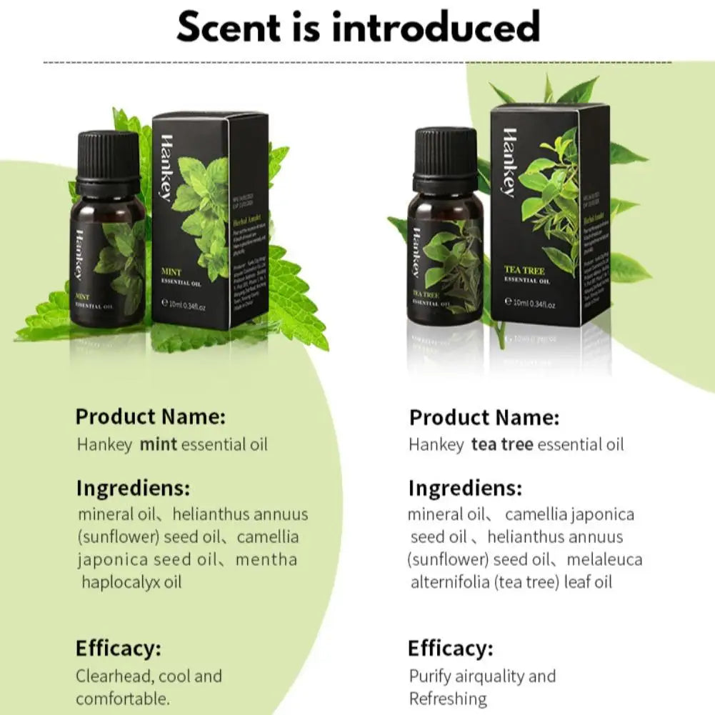 Aromatherapy Essential Oil 10ml Lemon Eucalyptus Lavender Eucalyptus Jasmine Rose Mint Orange Aroma Essential Oil