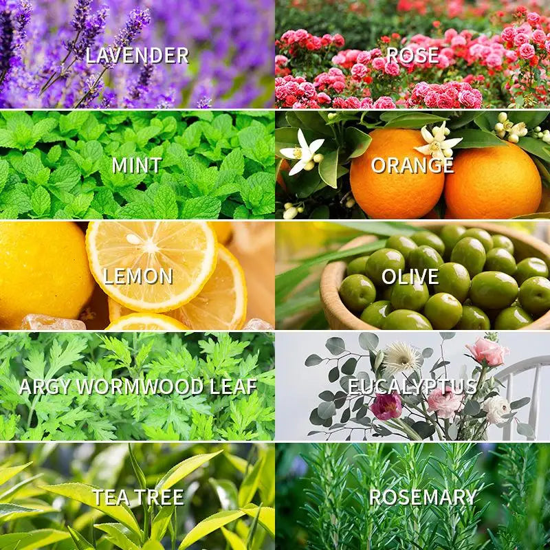 Aromatherapy Essential Oil 10ml Lemon Eucalyptus Lavender Eucalyptus Jasmine Rose Mint Orange Aroma Essential Oil