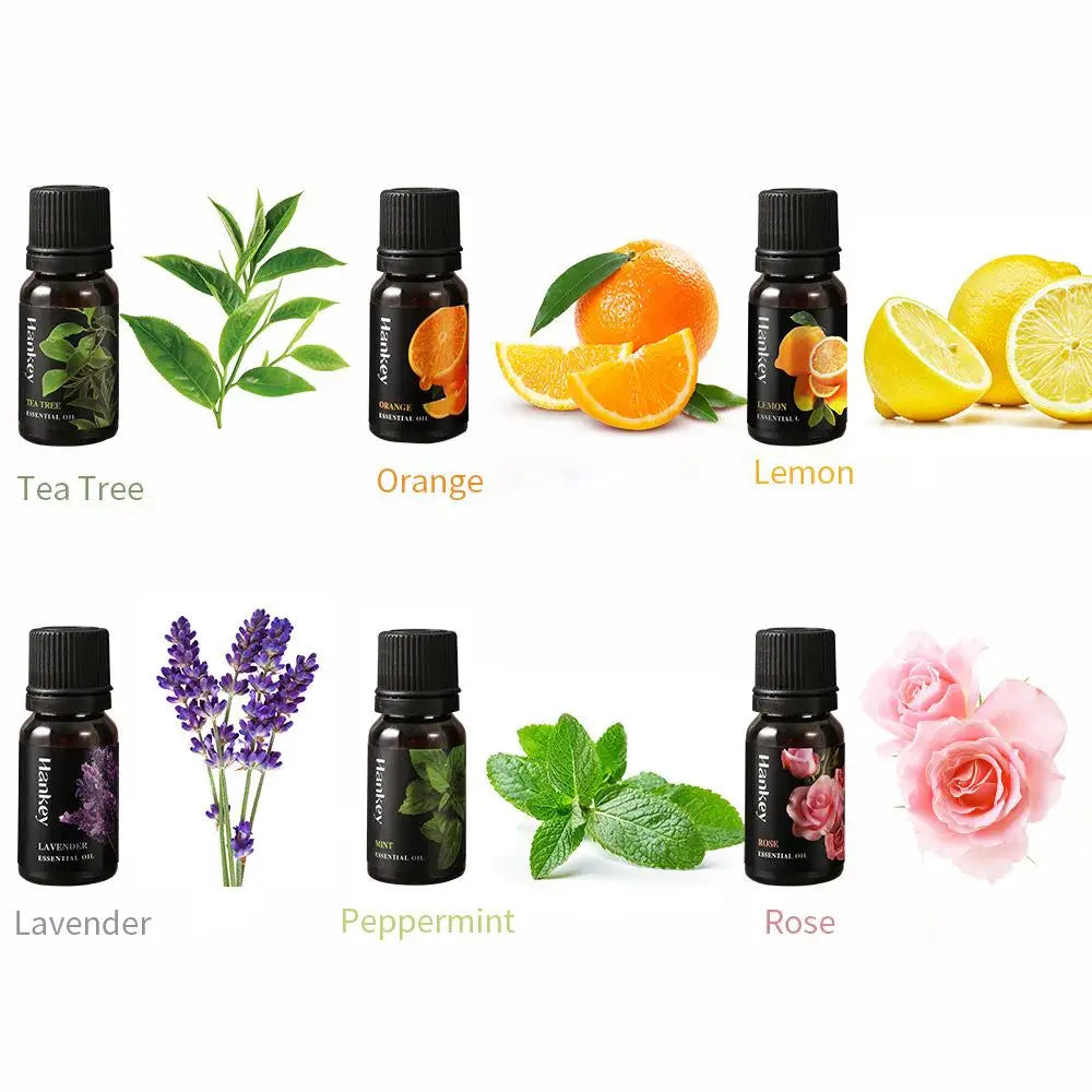 Aromatherapy Essential Oil 10ml Lemon Eucalyptus Lavender Eucalyptus Jasmine Rose Mint Orange Aroma Essential Oil