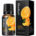 Aromatherapy Essential Oil 10ml Lemon Eucalyptus Lavender Eucalyptus Jasmine Rose Mint Orange Aroma Essential Oil