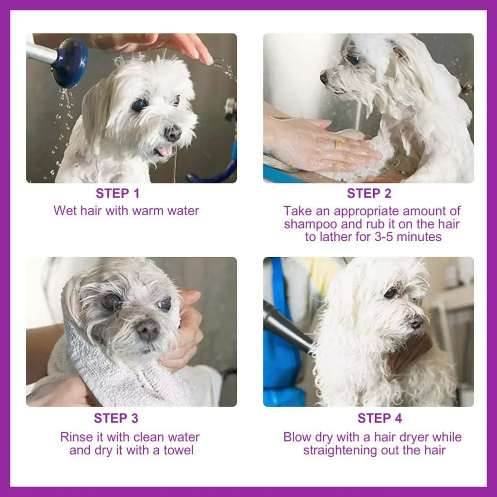 Pet Shampoo and Conditioner with Pure Lavender Essential Oils Tear Free Formula for Dogs andCats pH Balanced Gentle Groom 100ml