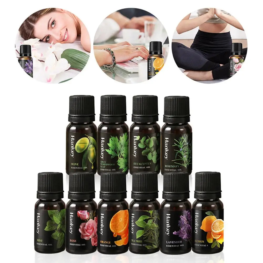Aromatherapy Essential Oil 10ml Lemon Eucalyptus Lavender Eucalyptus Jasmine Rose Mint Orange Aroma Essential Oil